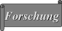 Bereich: Forschung